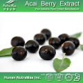 100% Natural Acai Berry Extract Powder Supplier